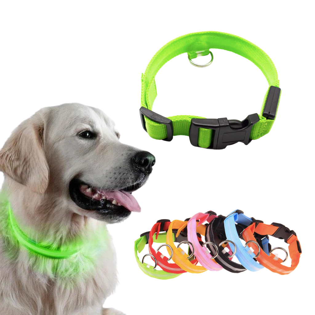 USB-aufladbares LED-Licht-Hundehalsband - Ozerty