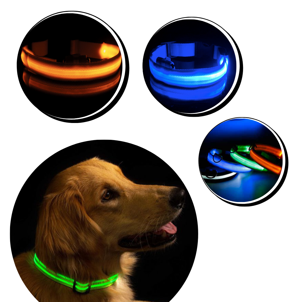 USB-aufladbares LED-Licht-Hundehalsband - Ozerty