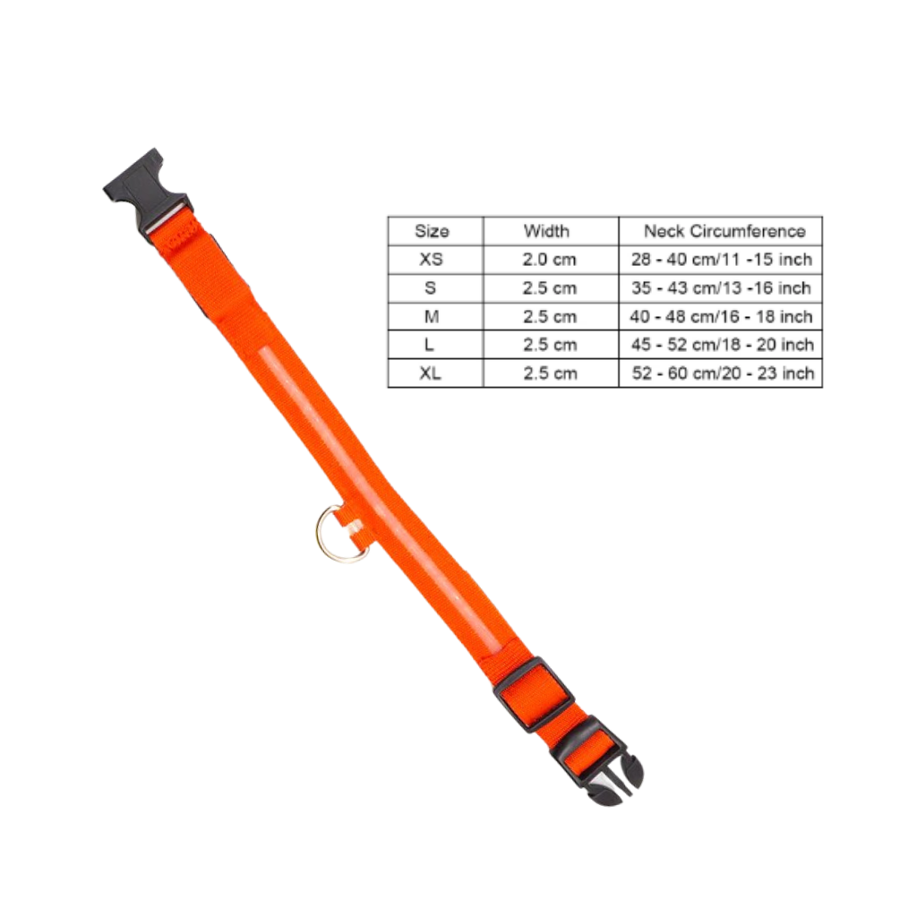 USB-aufladbares LED-Licht-Hundehalsband - Ozerty