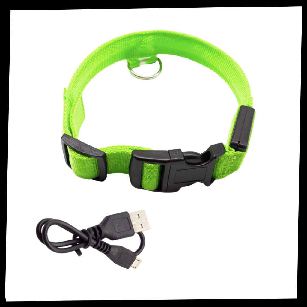 USB-aufladbares LED-Licht-Hundehalsband - Ozerty