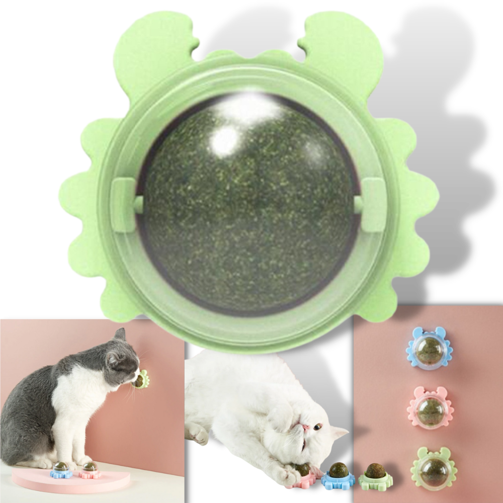Drehbares Katzenspielzeug Mint Ball - Ozerty
