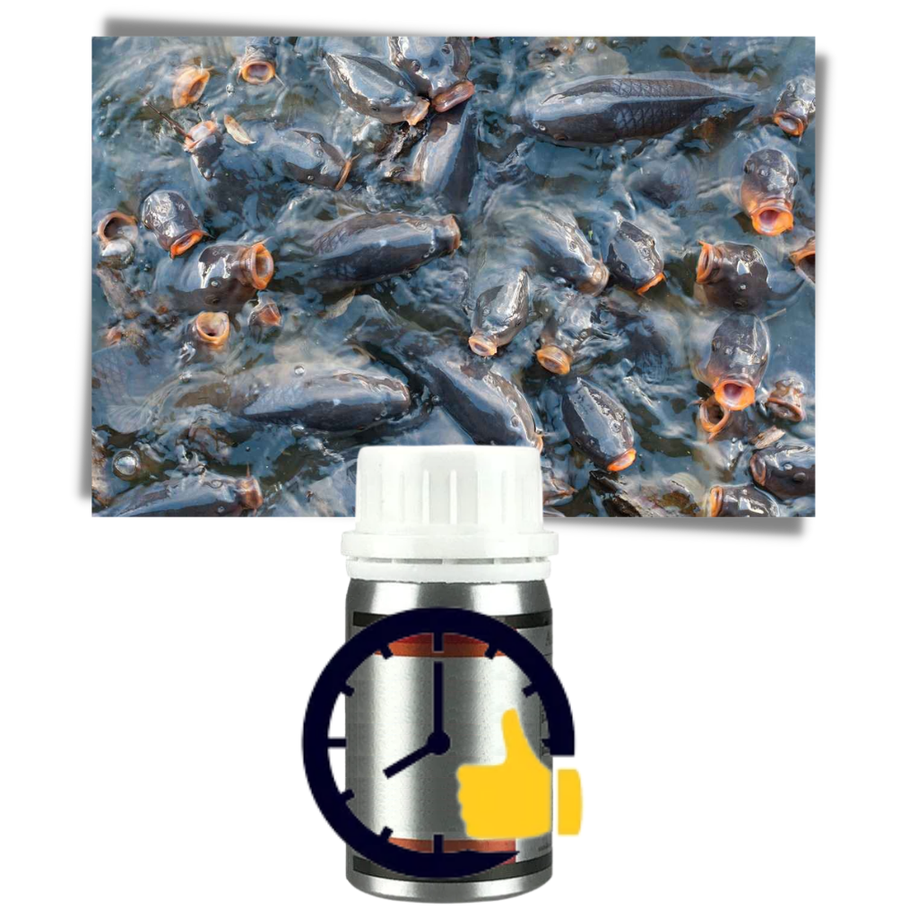 Lockender Fischköder - Ozerty