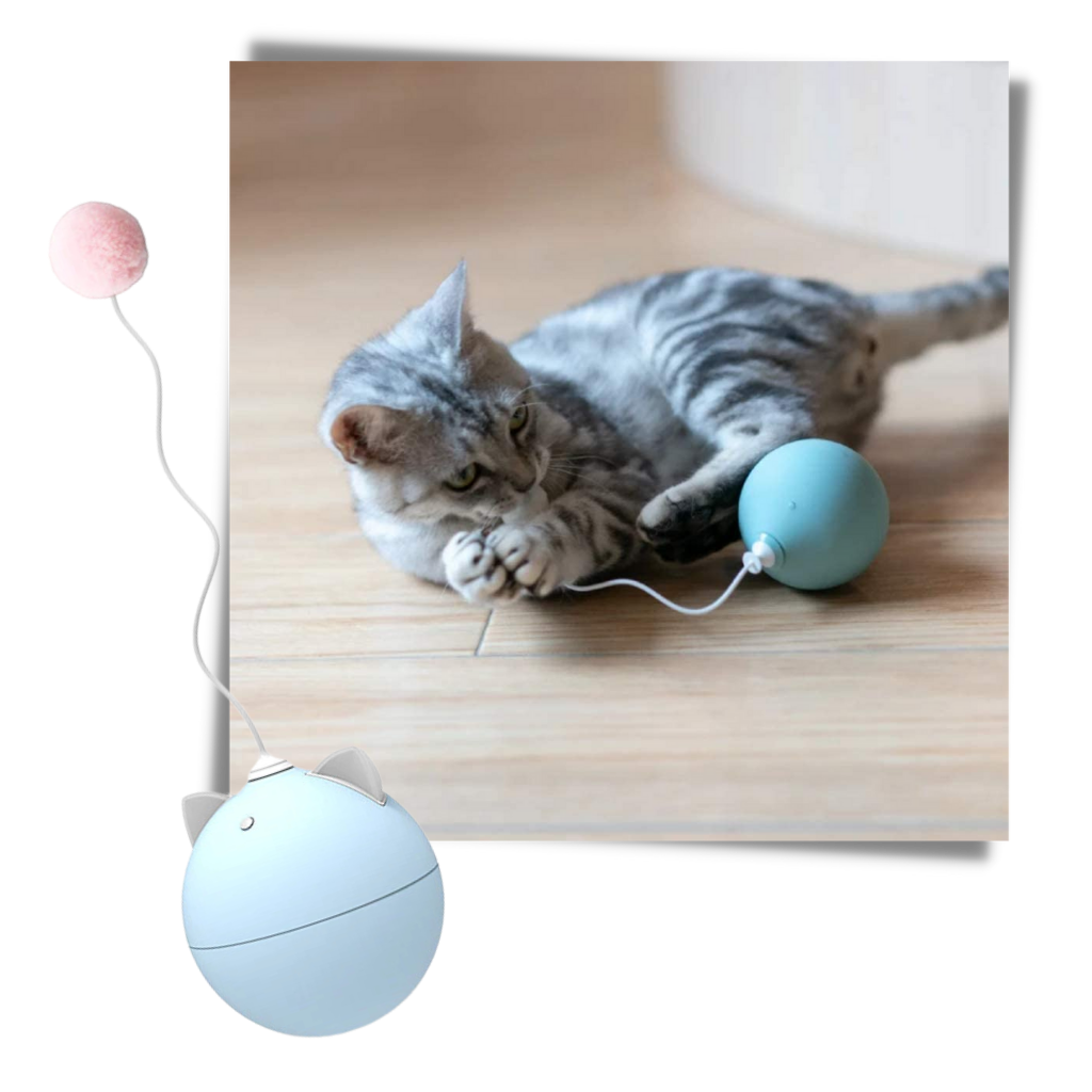 Katzenspielball mit Auto-Roll-Funktion - Ozerty