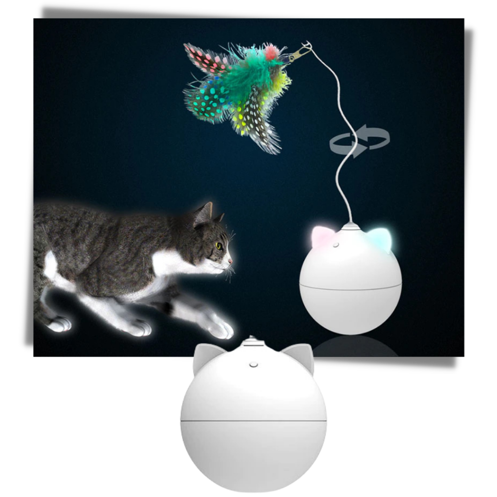 Katzenspielball mit Auto-Roll-Funktion - Ozerty