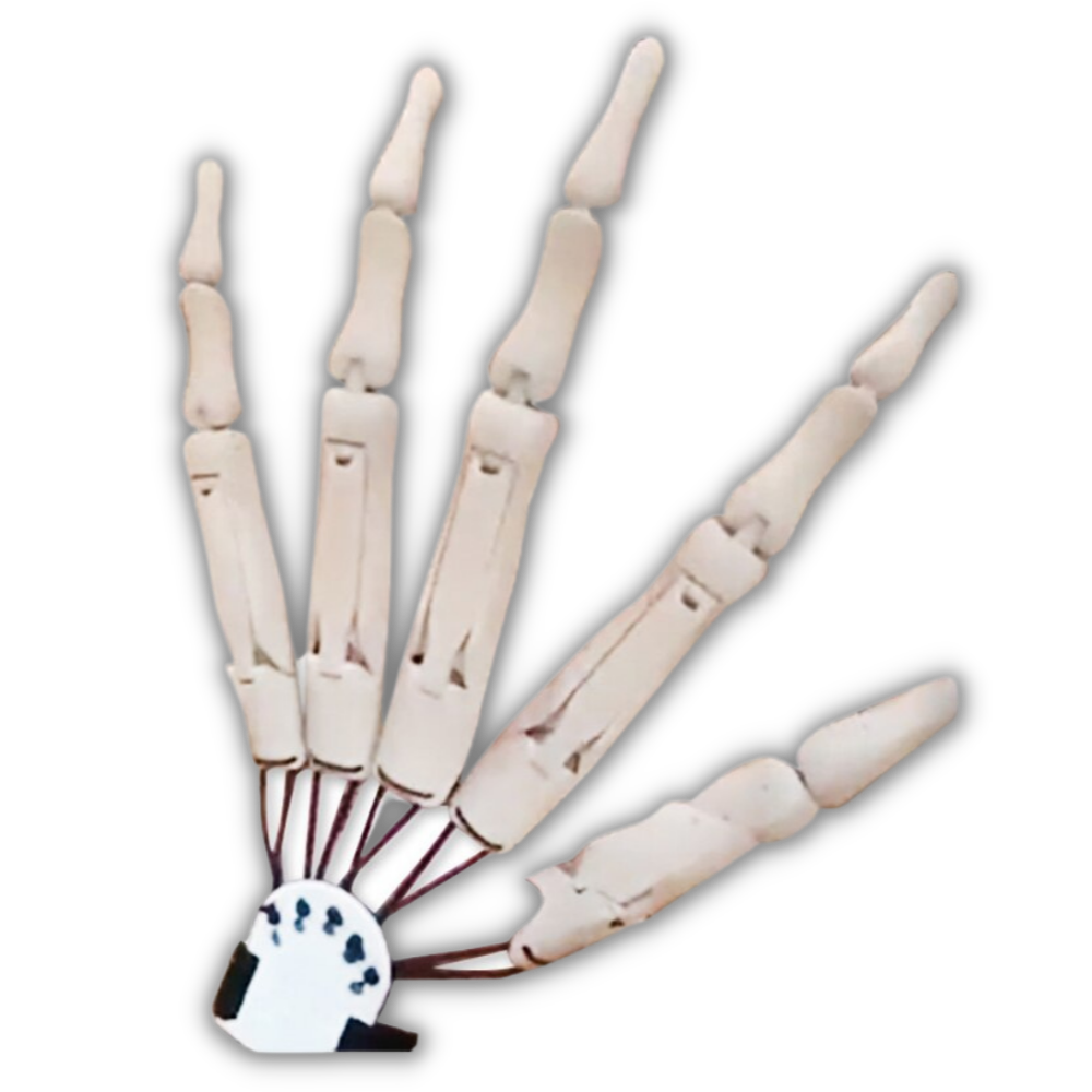 Fake skeleton hands glove