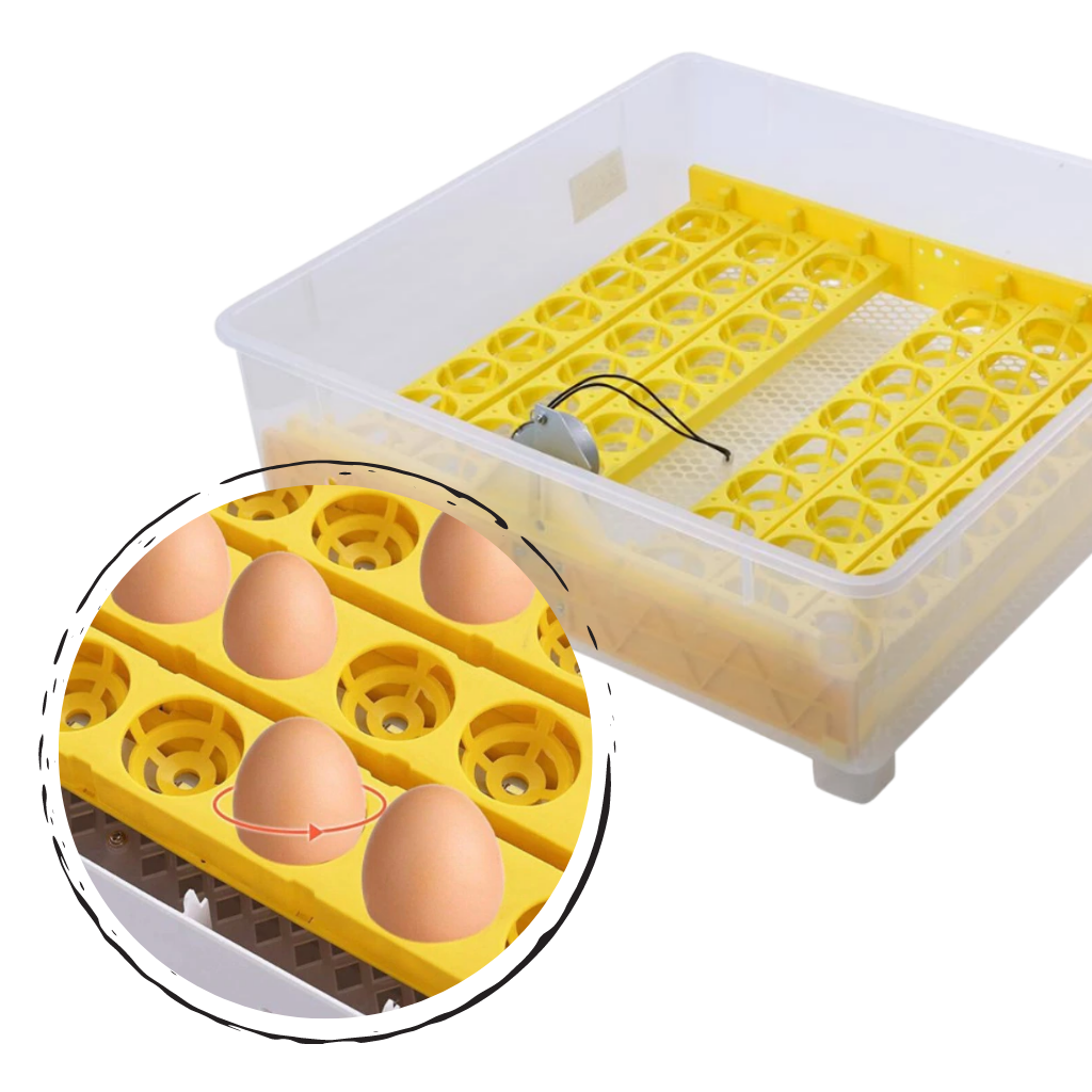 48 Eier Automatischer Inkubator - Ozerty
