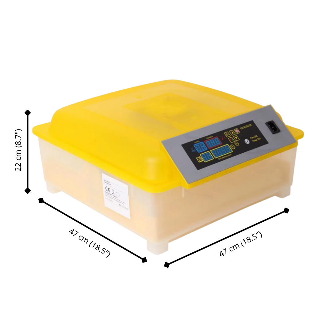 48 Eier Automatischer Inkubator - Ozerty