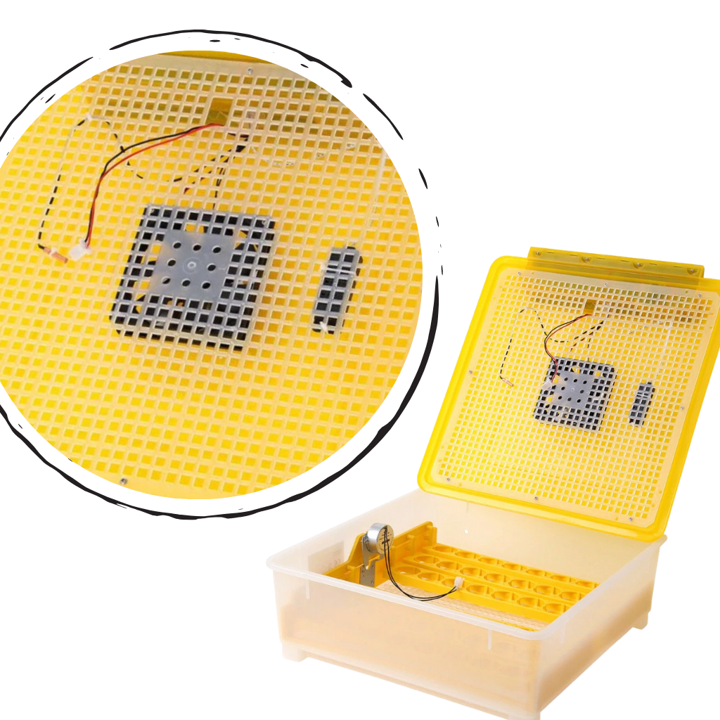 48 Eier Automatischer Inkubator - Ozerty