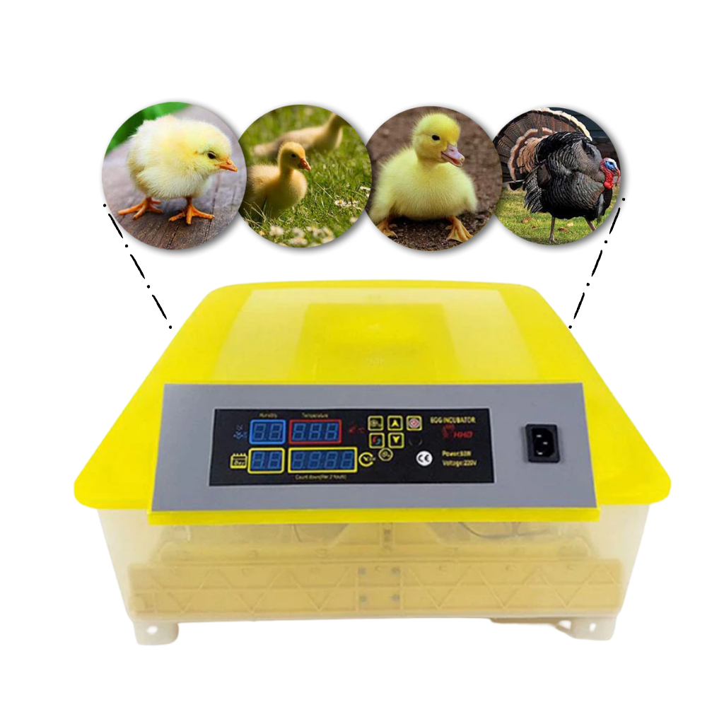 48 Eier Automatischer Inkubator - Ozerty