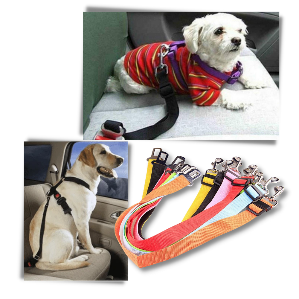 Verstellbarer und haltbarer Hundesicherheitsgurt für Autos - Ozerty