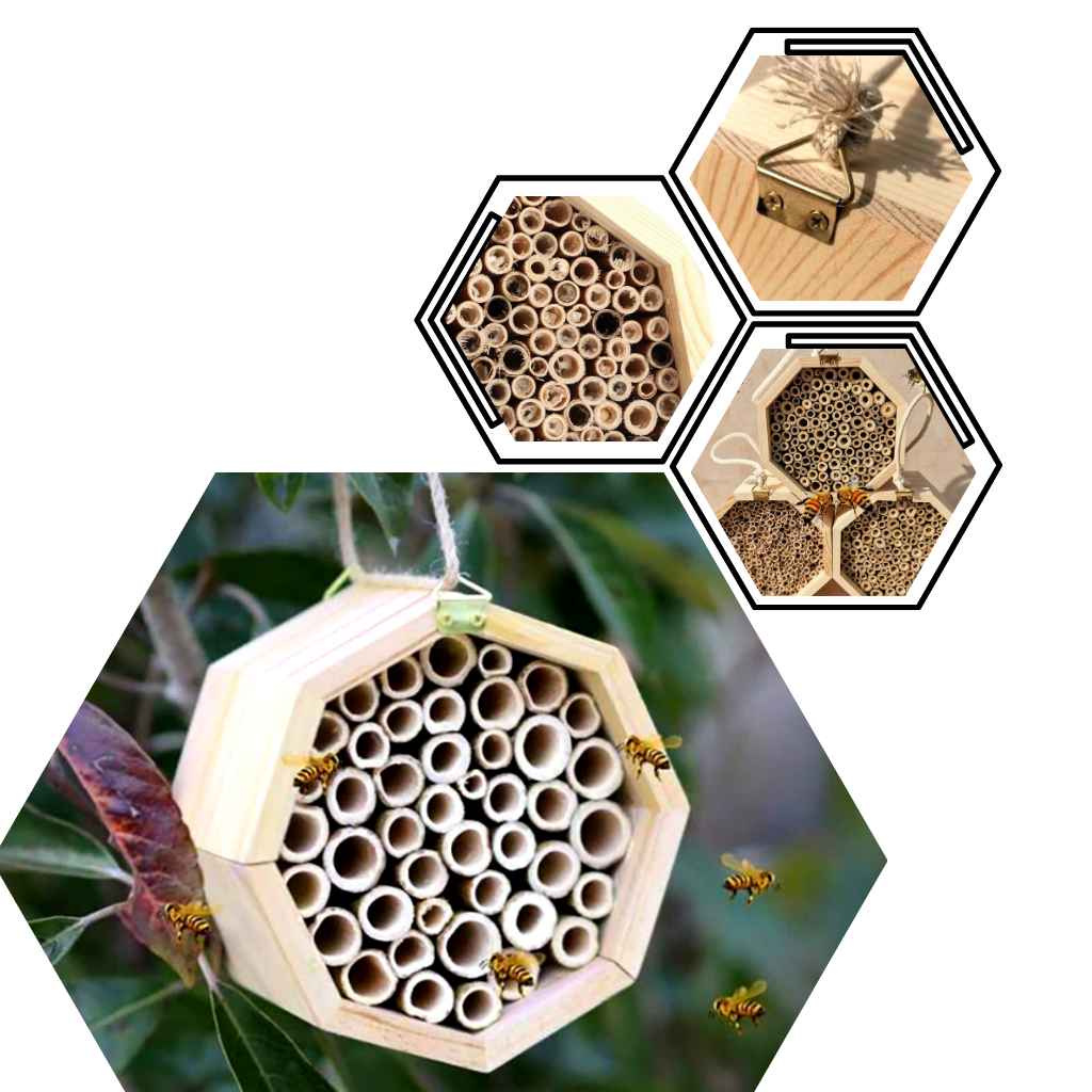 Sechseckiges Holz-Bienenhaus - Ozerty