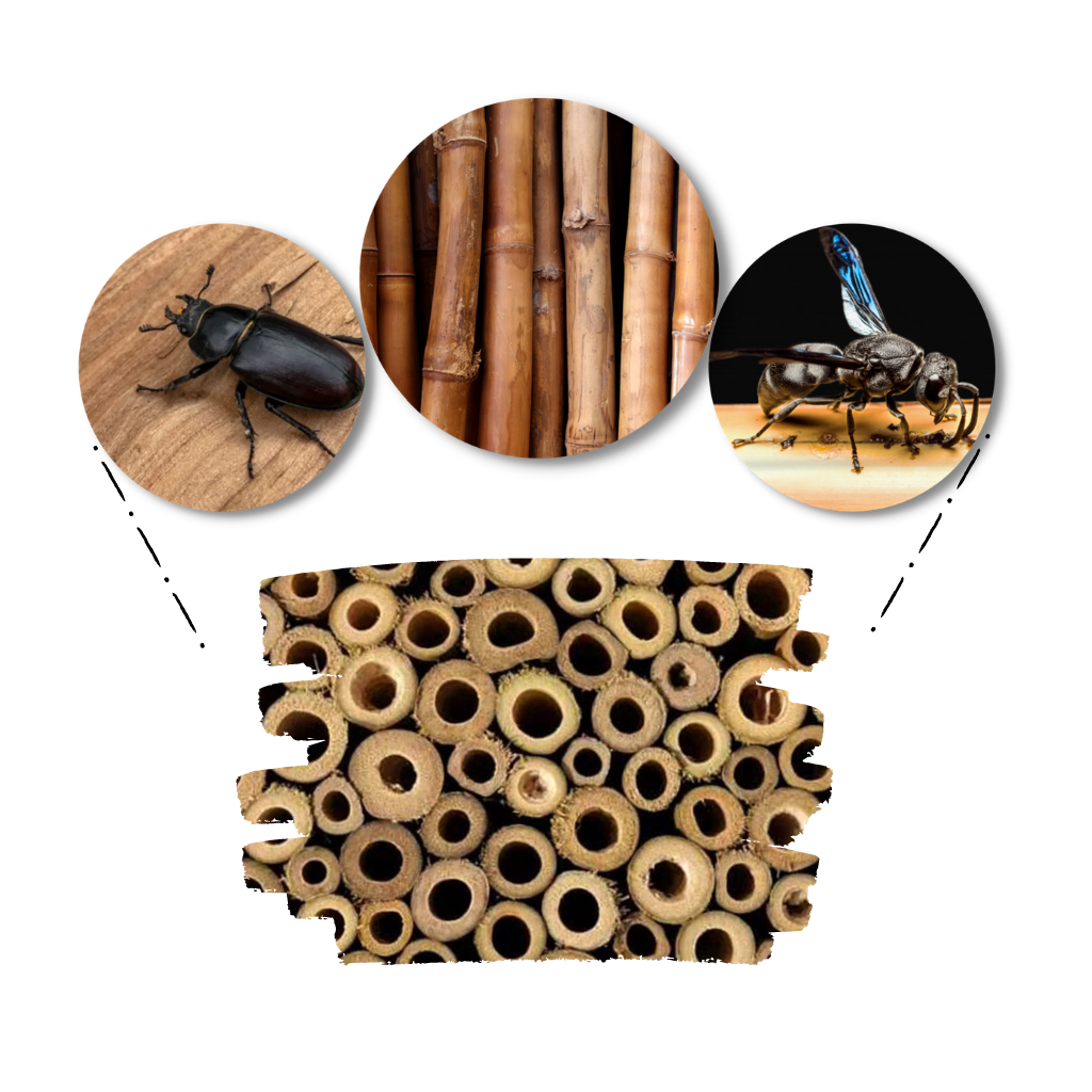 Sechseckiges Holz-Bienenhaus - Ozerty