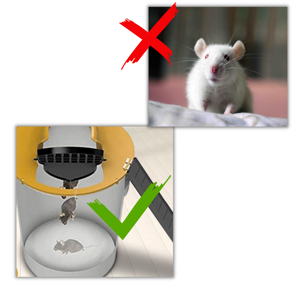 Eimer Ratten- und Mäusefalle - Ozerty