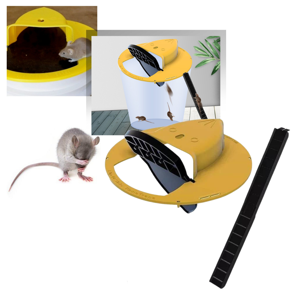 Eimer Ratten- und Mäusefalle - Ozerty