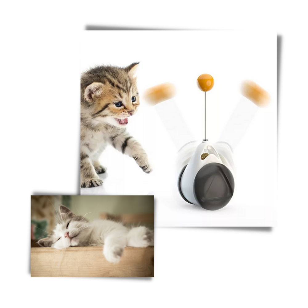 Interaktives Ballspielzeug für Katzen - Ozerty