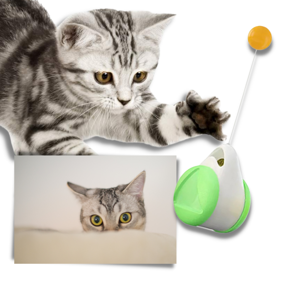 Interaktives Ballspielzeug für Katzen - Ozerty