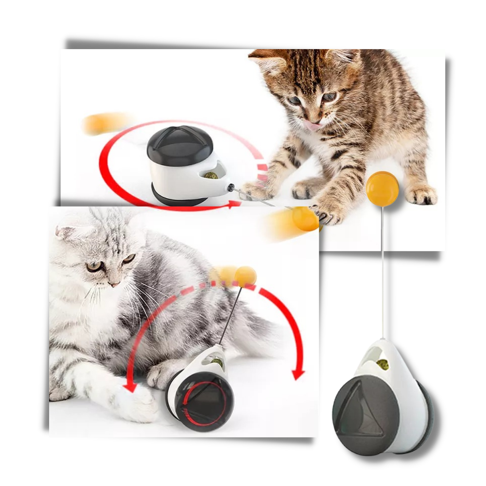 Interaktives Ballspielzeug für Katzen - Ozerty