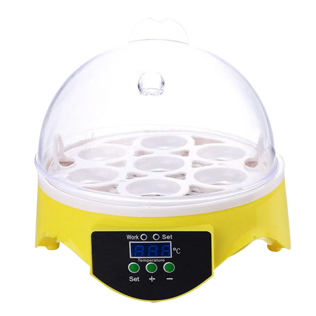 Automatischer Mini-Ei-Inkubator - Ozerty