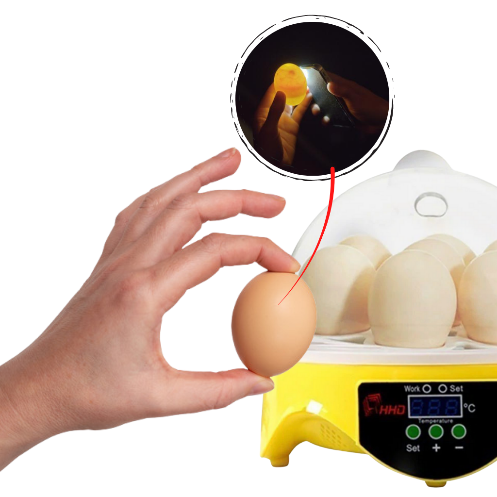 Automatischer Mini-Ei-Inkubator - Ozerty