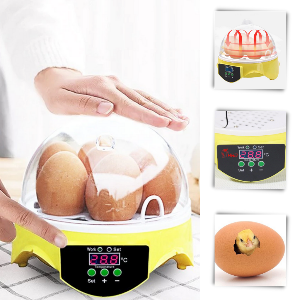 Automatischer Mini-Ei-Inkubator - Ozerty