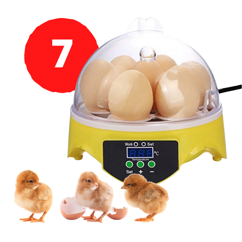 Automatischer Mini-Ei-Inkubator - Ozerty