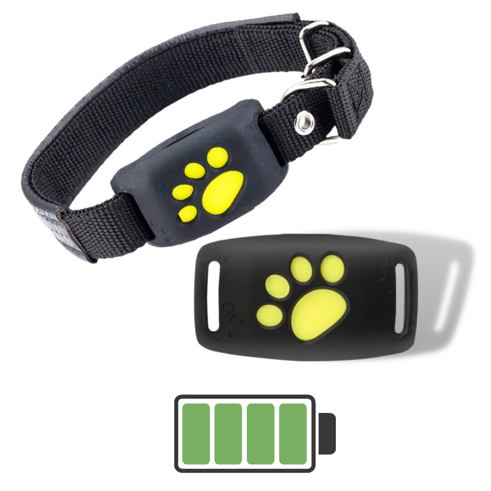 GPS-Tracking-Halsband für Haustiere - Ozerty