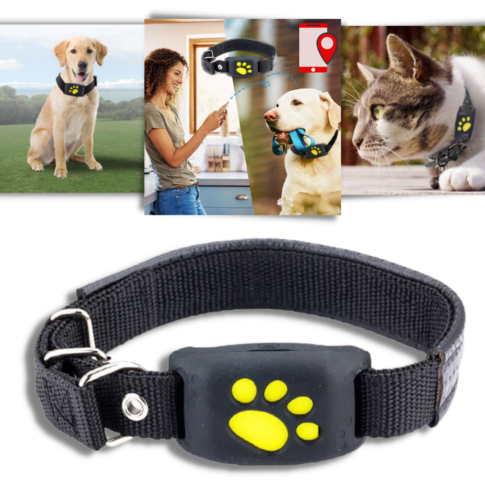 GPS-Tracking-Halsband für Haustiere - Ozerty