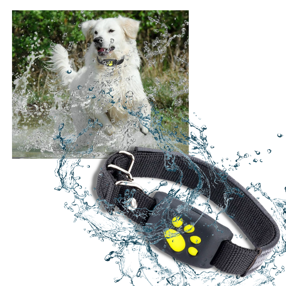 GPS-Tracking-Halsband für Haustiere - Ozerty
