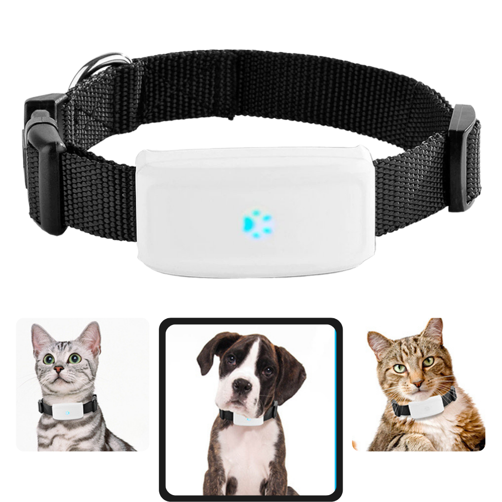 GPS-Halsband zur Verfolgung von Haustieren - Ozerty