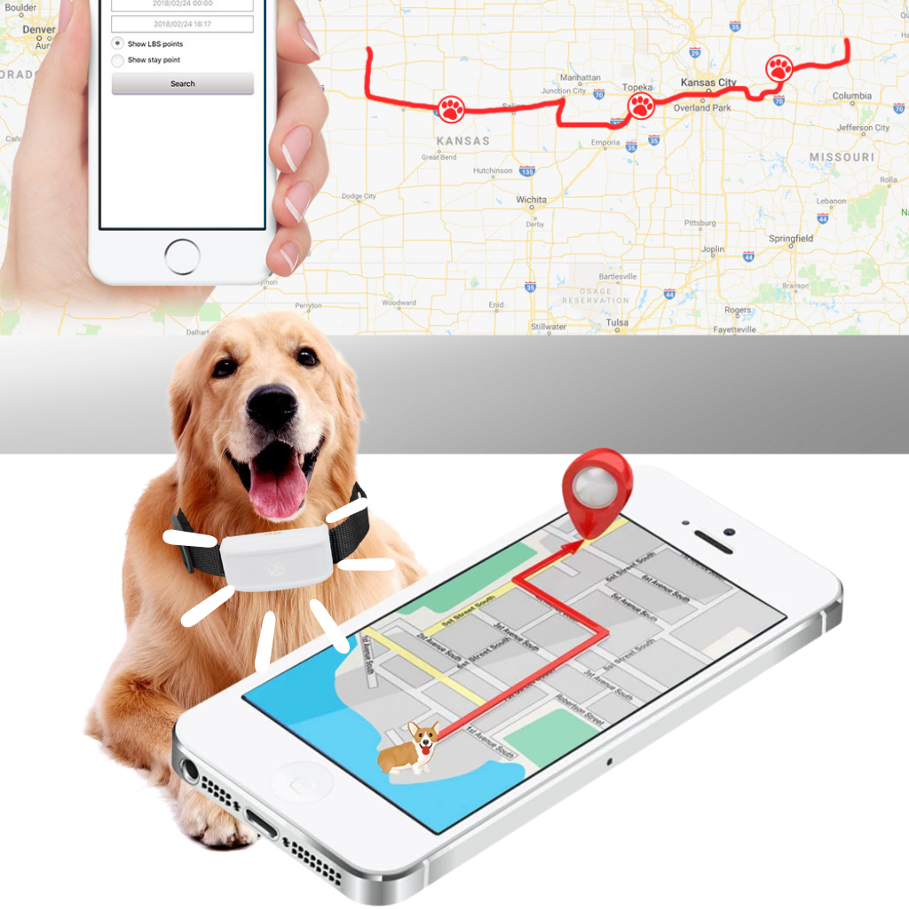GPS-Halsband zur Verfolgung von Haustieren - Ozerty