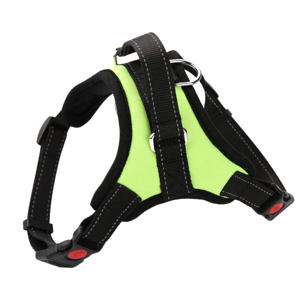 Reflective adjustable saddle dog harness