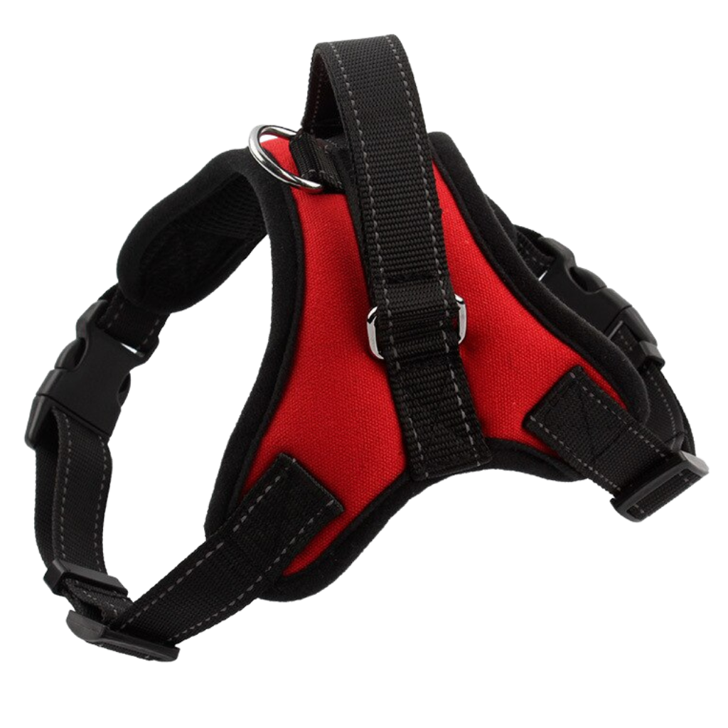 Reflective adjustable saddle dog harness