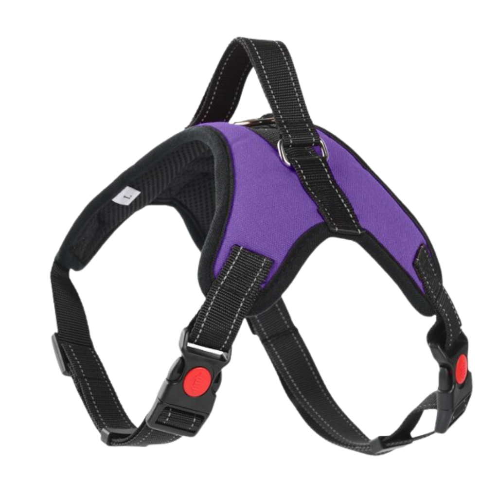 Reflective adjustable saddle dog harness