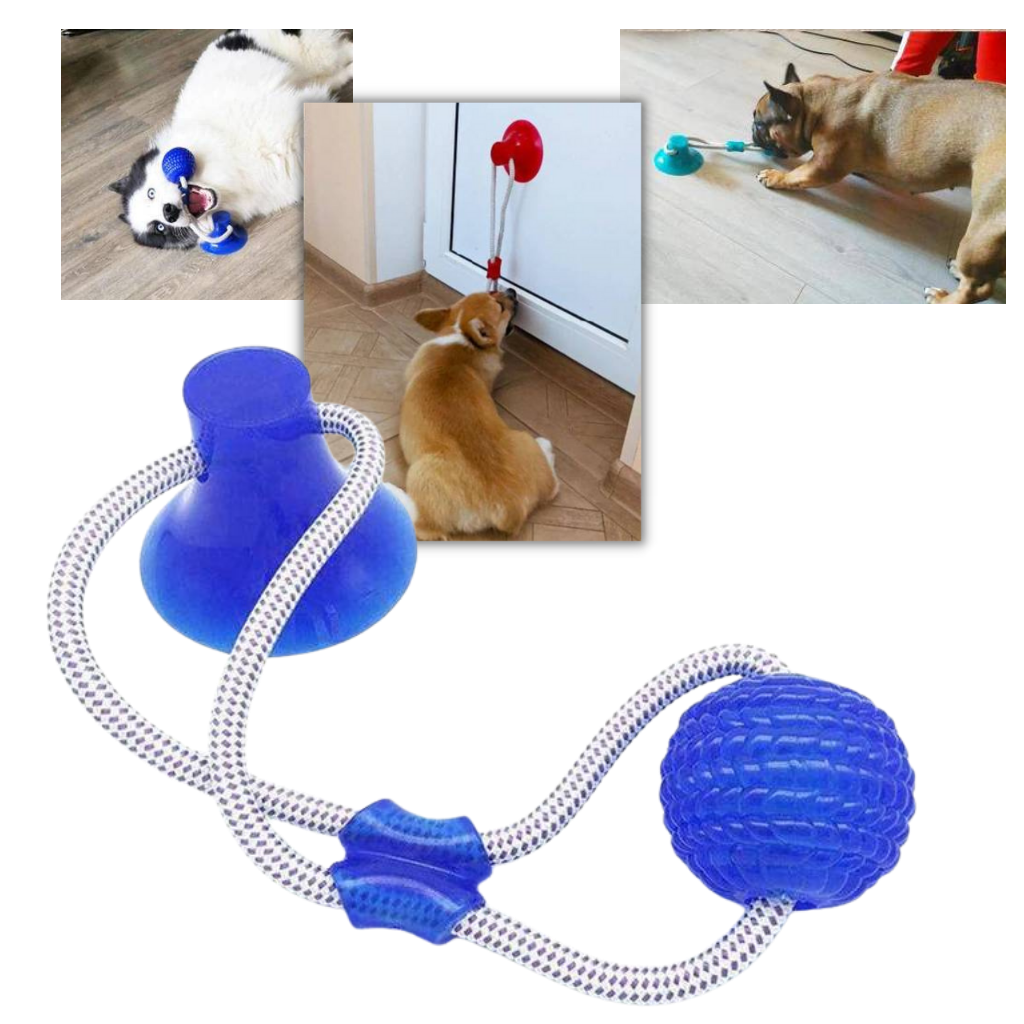 Saugnapf Hund Ziehball Spielzeug - Ozerty