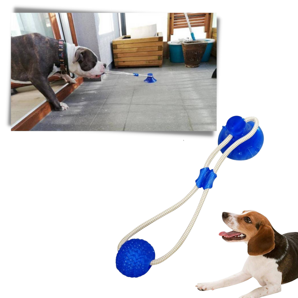 Saugnapf Hund Ziehball Spielzeug - Ozerty