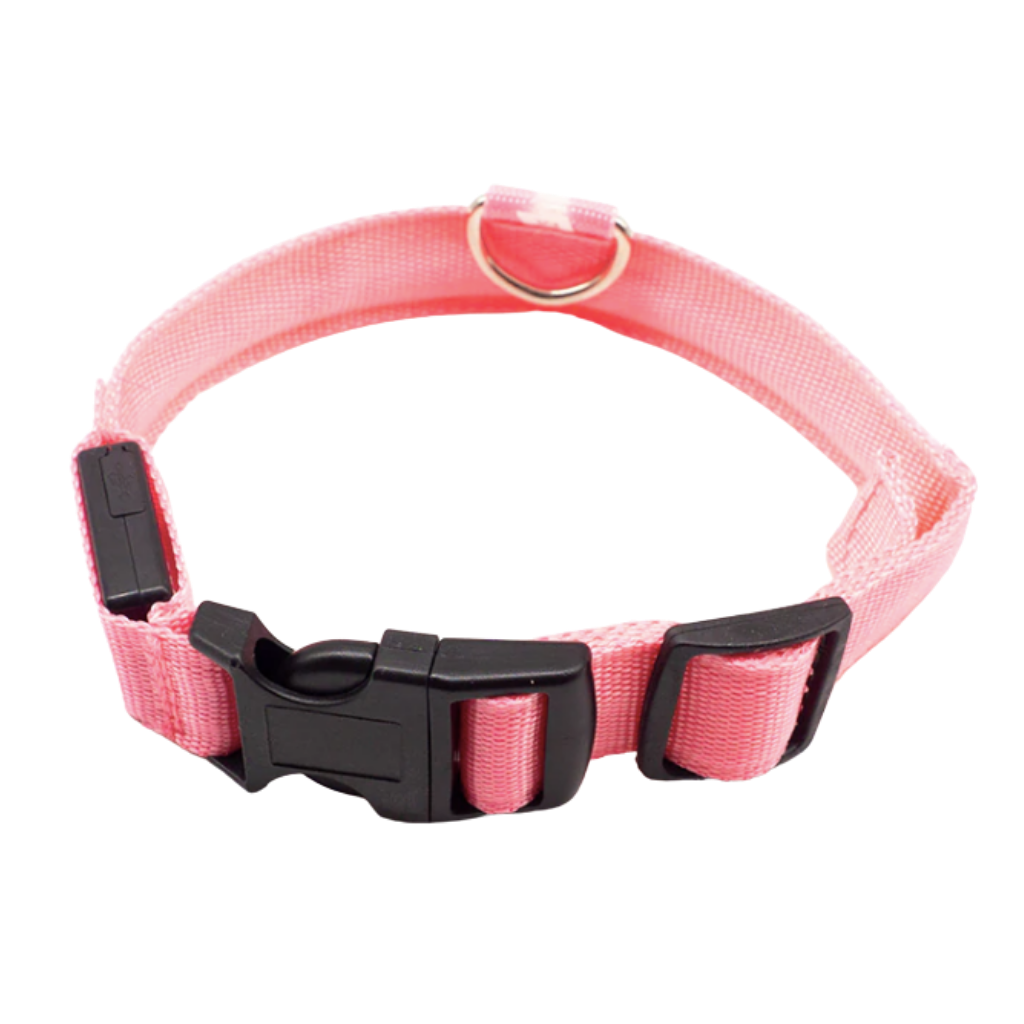 USB-aufladbares LED-Licht-Hundehalsband