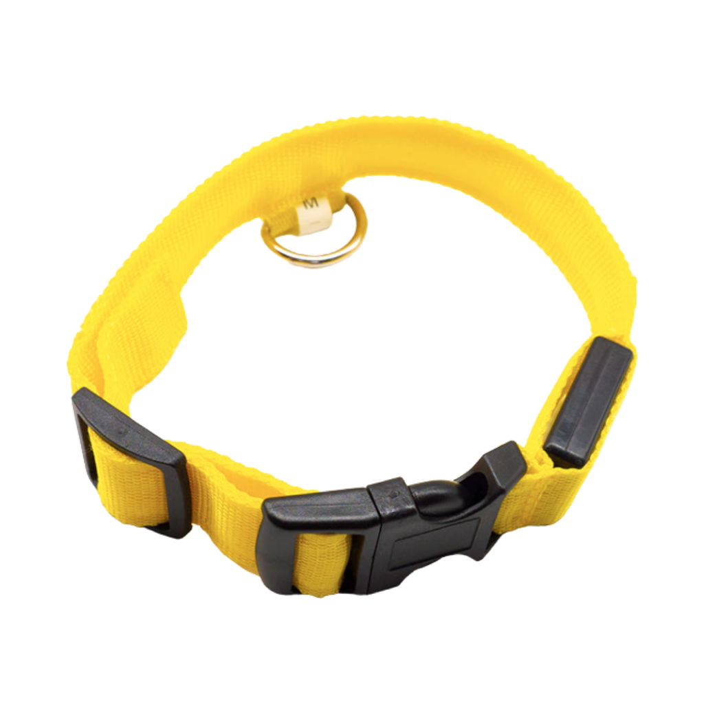 USB-aufladbares LED-Licht-Hundehalsband