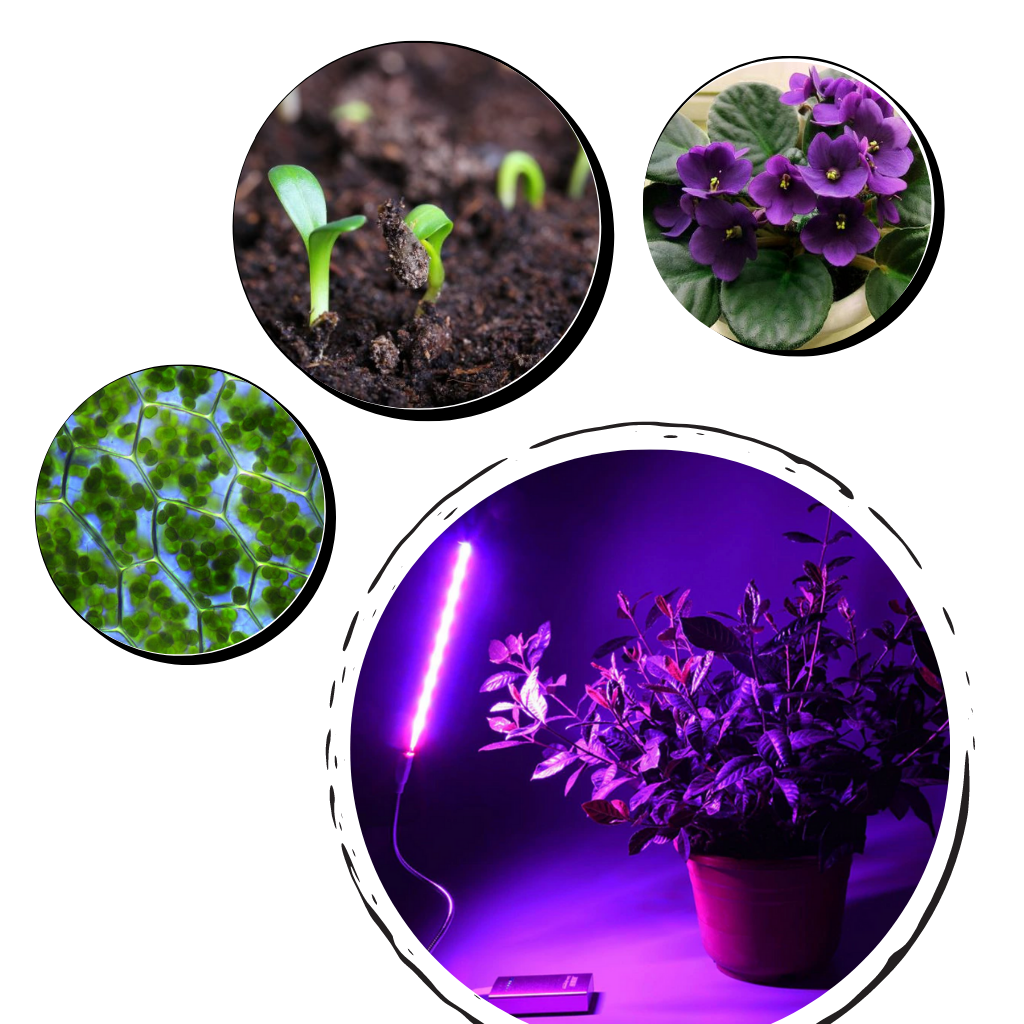 USB LED Pflanzenwachstumsleuchte mit flexiblem Stab - Ozerty