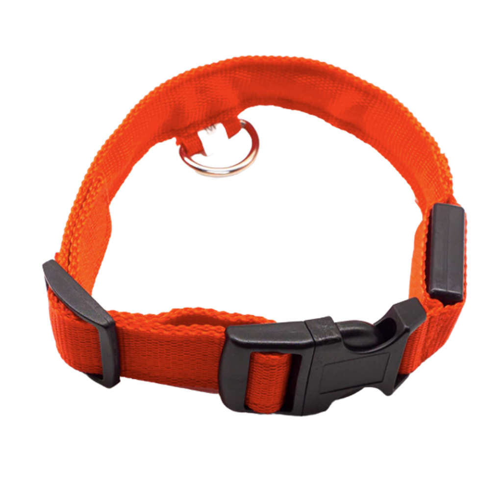 USB-aufladbares LED-Licht-Hundehalsband - Ozerty